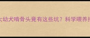 两个月大幼犬啃骨头竟有这些坑科学喂养指南来了