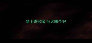 哈士奇和金毛犬哪个好