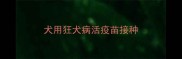 犬用狂犬病活疫苗接种