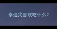 泰迪狗喜欢吃什么