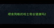 喂食狗粮的哈士奇会健康吗