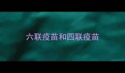 六联疫苗和四联疫苗