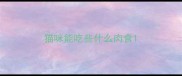 猫咪能吃些什么肉食