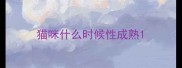 猫咪什么时候性成熟