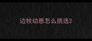 边牧幼崽怎么挑选
