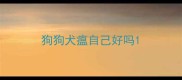 狗狗犬瘟自己好吗