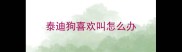 泰迪狗喜欢叫怎么办