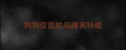 狗狗疫苗的品牌英特威