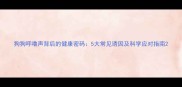 狗狗呼噜声背后的健康密码5大常见诱因及科学应对指南
