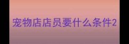 宠物店店员要什么条件
