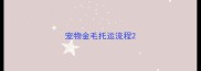 宠物金毛托运流程