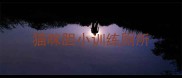 猫咪胆小训练厕所