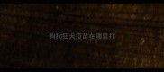 狗狗狂犬疫苗在哪里打