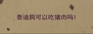 泰迪狗可以吃猪肉吗