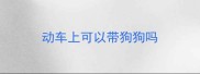 动车上可以带狗狗吗