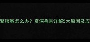 边牧频繁咳嗽怎么办资深兽医详解5大原因及应对措施