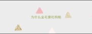 为什么金毛要吃狗粮