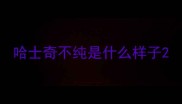 哈士奇不纯是什么样子