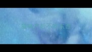 猫咪产后不吃东西