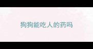 狗狗能吃人的药吗