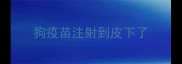 狗疫苗注射到皮下了