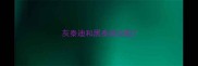 灰泰迪和黑泰迪交配
