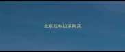 北京拉布拉多购买