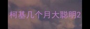 柯基几个月大聪明