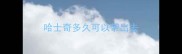 哈士奇多久可以带出去