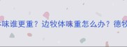 德牧体味vs边牧体味谁更重边牧体味重怎么办德牧边牧护理全攻略