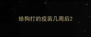 给狗打的疫苗几周后