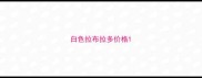 白色拉布拉多价格