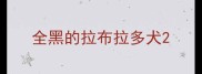 全黑的拉布拉多犬