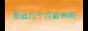 泰迪几个月能养啊