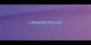 小狗皮肤溃烂用什么药