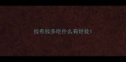 拉布拉多吃什么有好处