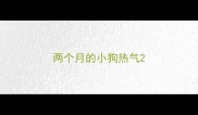 两个月的小狗热气