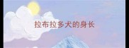 拉布拉多犬的身长