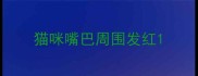 猫咪嘴巴周围发红