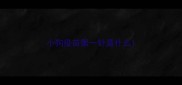小狗疫苗第一针是什么