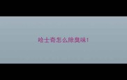哈士奇怎么除臭味