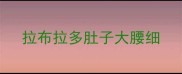 拉布拉多肚子大腰细