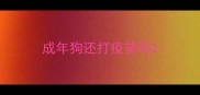 成年狗还打疫苗吗