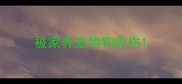 被家养宠物狗咬伤