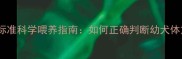 40天拉布拉多体重标准科学喂养指南如何正确判断幼犬体重并预防健康问题