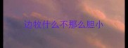 边牧什么不那么胆小