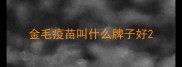 金毛疫苗叫什么牌子好