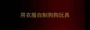 用衣服自制狗狗玩具