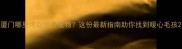 厦门哪里可以领养宠物这份最新指南助你找到暖心毛孩