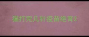 猫打完几针疫苗绝育